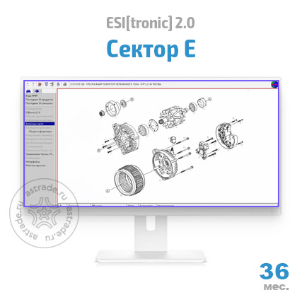 Сектор E: подписка на 36 мес.