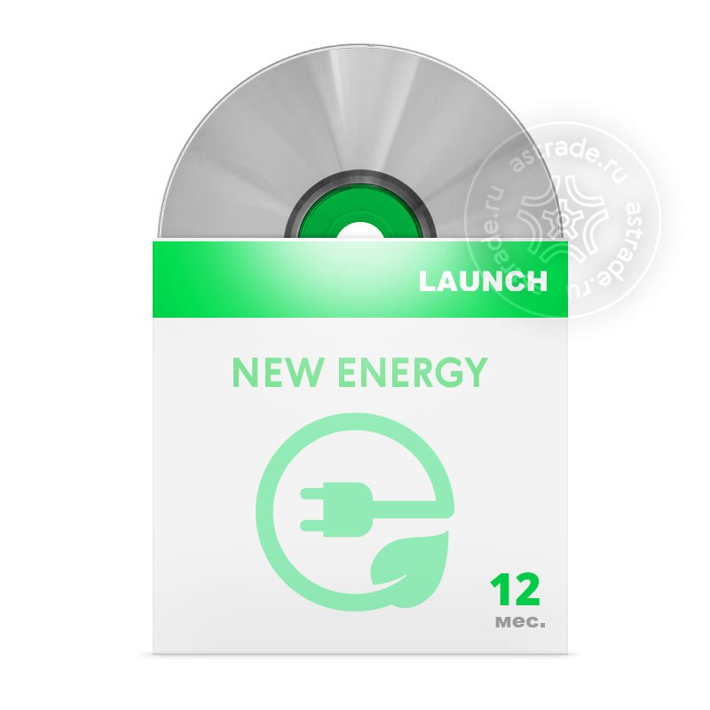1 Год Подписки New Energy (EV)