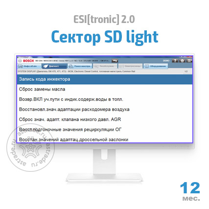 Сектор SD light: подписка на 12 мес.