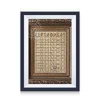 Сертификат официального дистрибьютора LAUNCH 2026