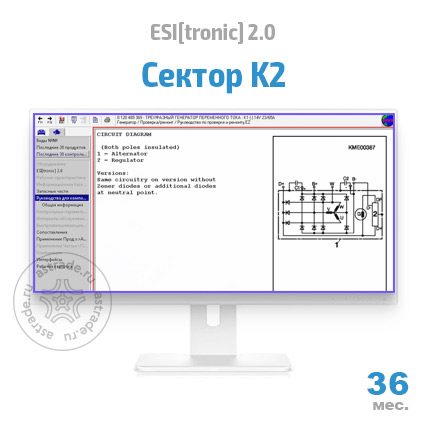 Сектор K2: подписка на 36 мес.