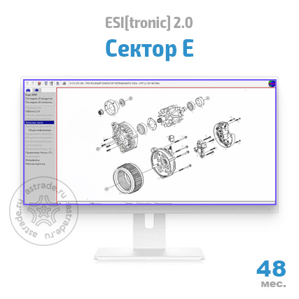 Сектор E: подписка на 48 мес.