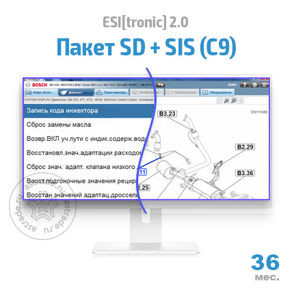 Пакет SD + SIS (С9): подписка на 36 мес.