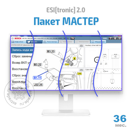 Пакет "МАСТЕР" (SD, SIS, M, P, TSB): подписка на 36 мес.