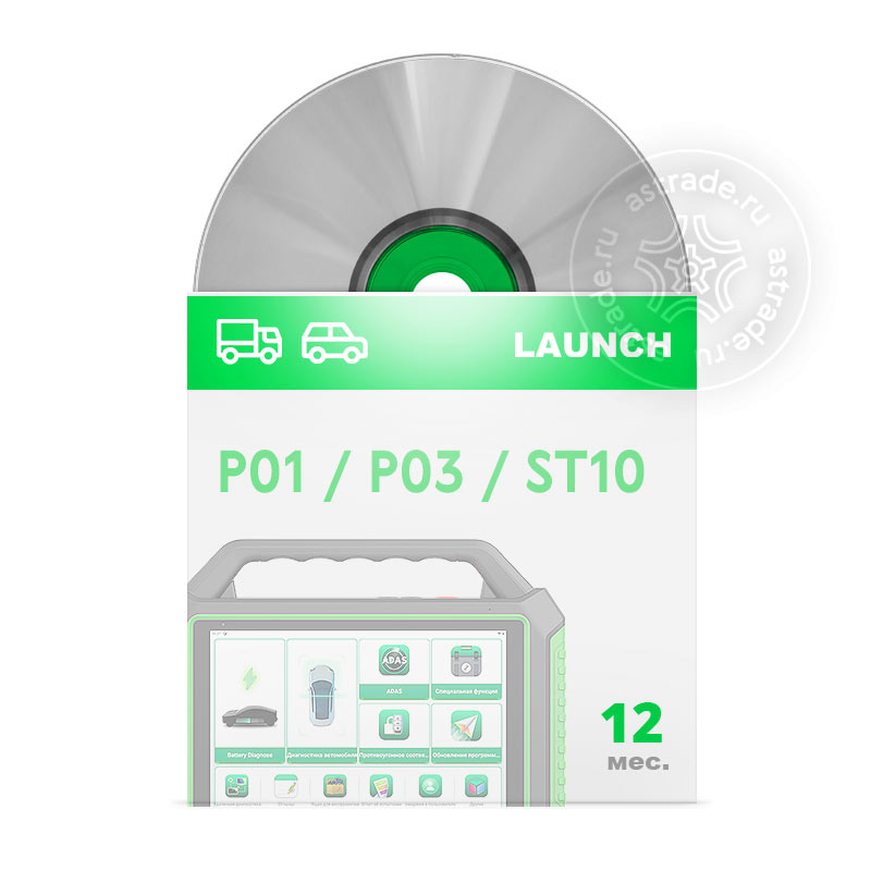 1 Год Подписки для легковых и коммерческих автомобилей (P01/P03/ST10)
