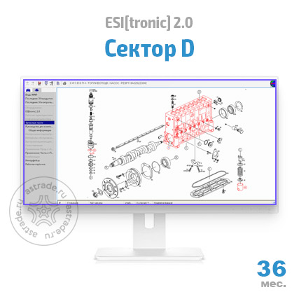 Сектор D: подписка на 36 мес.