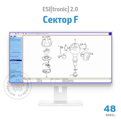 Сектор F: подписка на 48 мес.