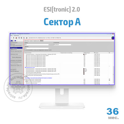 Сектор A: подписка на 36 мес.