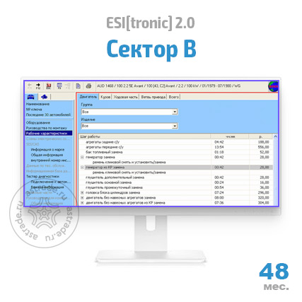 Сектор B: подписка на 48 мес.